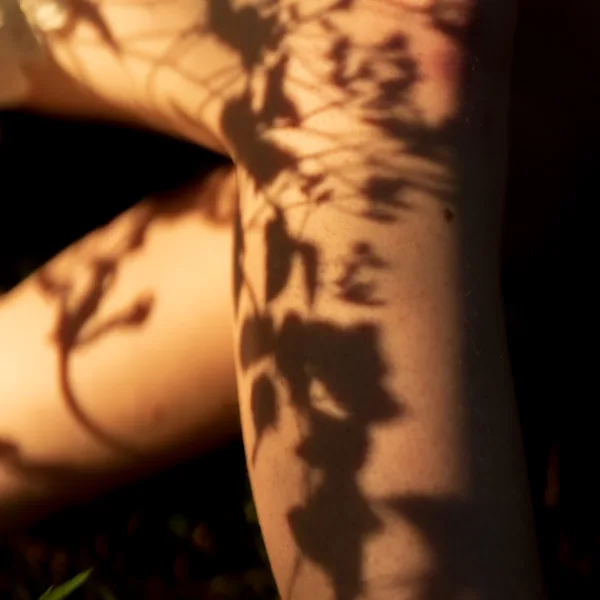 20240920-{@-JohanWijchen}-DSC00456-2