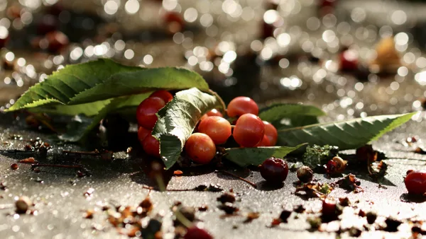 Canon eos 7D Mark II; 90mm; f/3,5; 1/500sec 