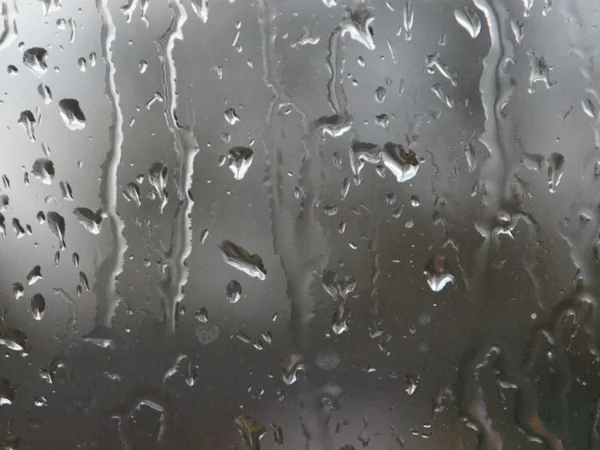 Foto's op muziek
