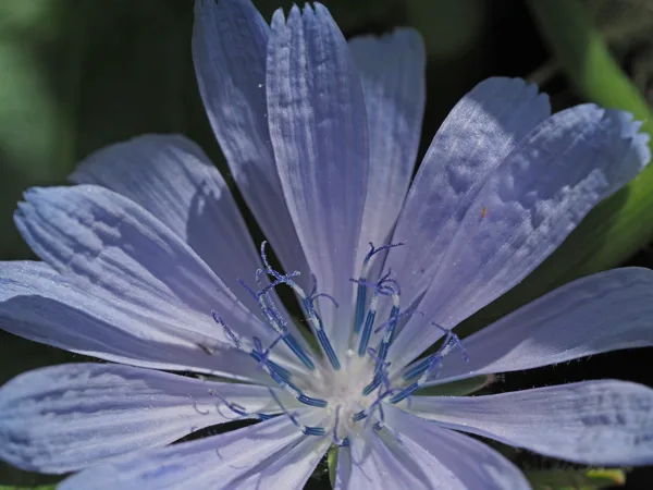macro9