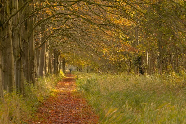 Herfst Marquette 2025