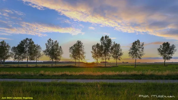 Zonsondergang Flevoland Vogelweg Lelystad RONM4748