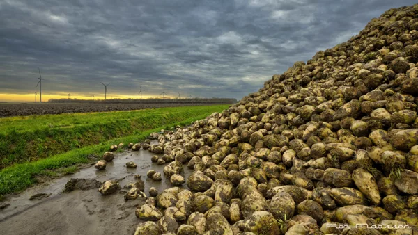 Flevoland Windmolens en meer 20251201 _Dronten Hanzeweg