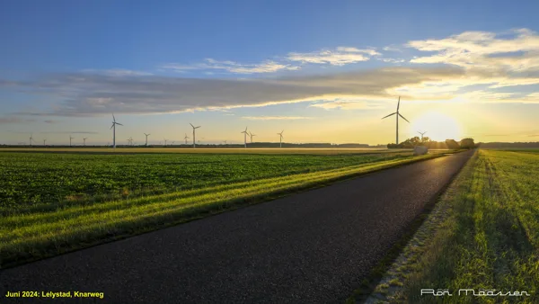 Flevoland Windmolens Knarweg Lelystad RONM4732