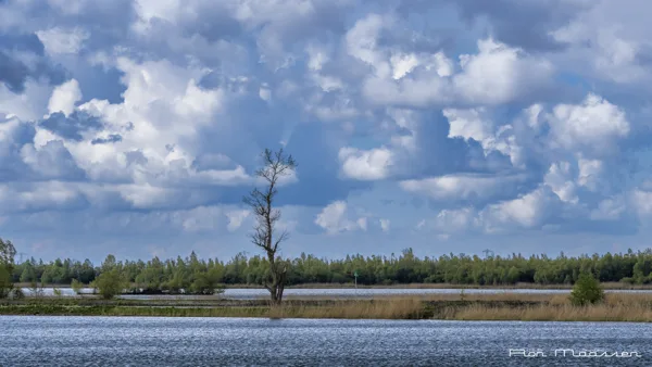 Ketelmeer 20240424 (2)