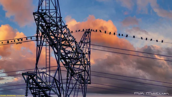 "Vergadering" Dronterweg  Dronten november 2024_RON6100