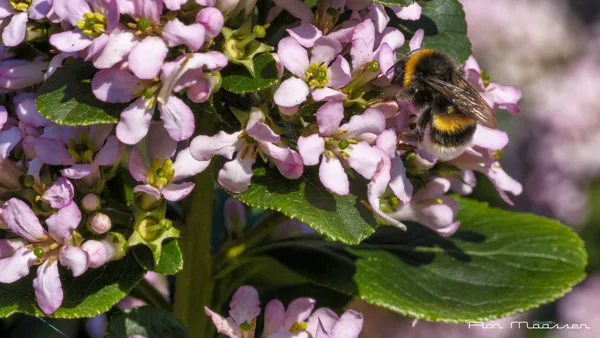 Voorjaar 2025_RON9309