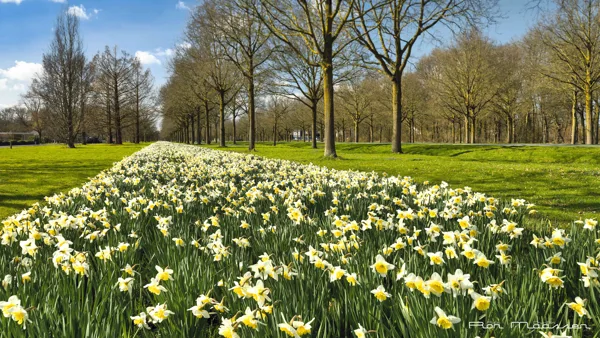 de West Dronten 20260315_RON5019