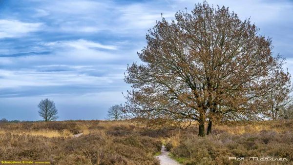 Ermelo Schaapskooi_RON6508