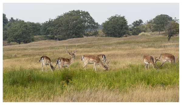 _DSC9744 kopie