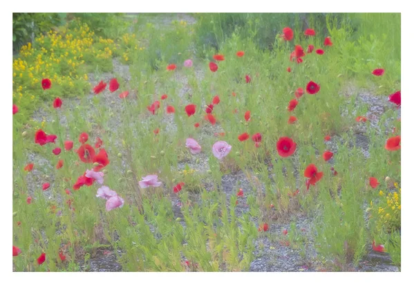 Hilde_Romantic garden kopie