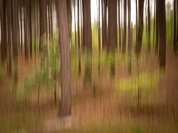 bomen