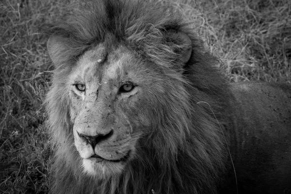 Tanzania