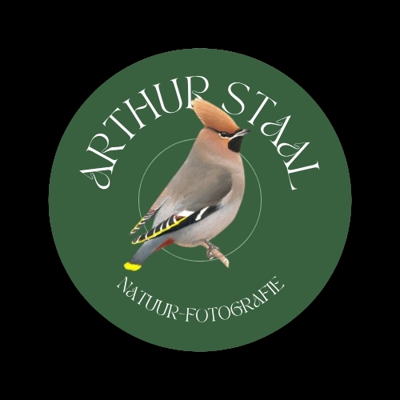 Arthur Staal fotografie