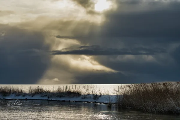 Natuur/landschap