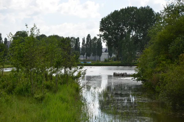 Natuur foto’s
