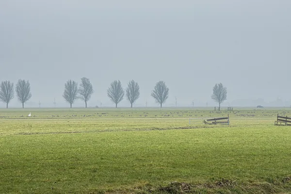 Polderlandschap