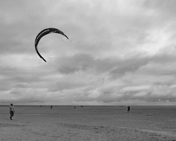 WIBO-2026-07-05-4167