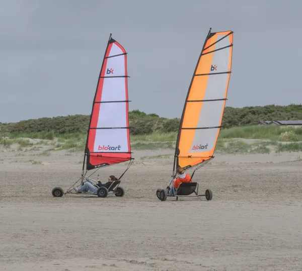 WIBO-2026-07-05-4397