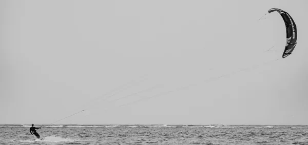 WIBO-2026-07-05-4261