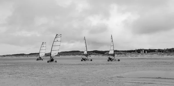 WIBO-2026-07-05-4415