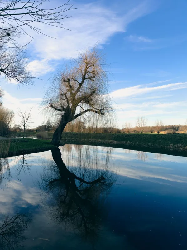 2026-F7w-Winter-1-Balans