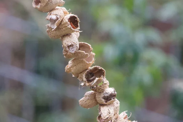 2026-F7w-Winter-4-Breekbaar