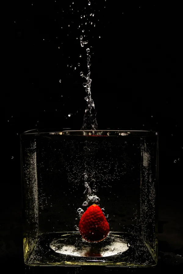 Splash