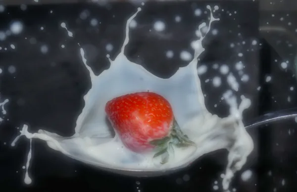 Splash