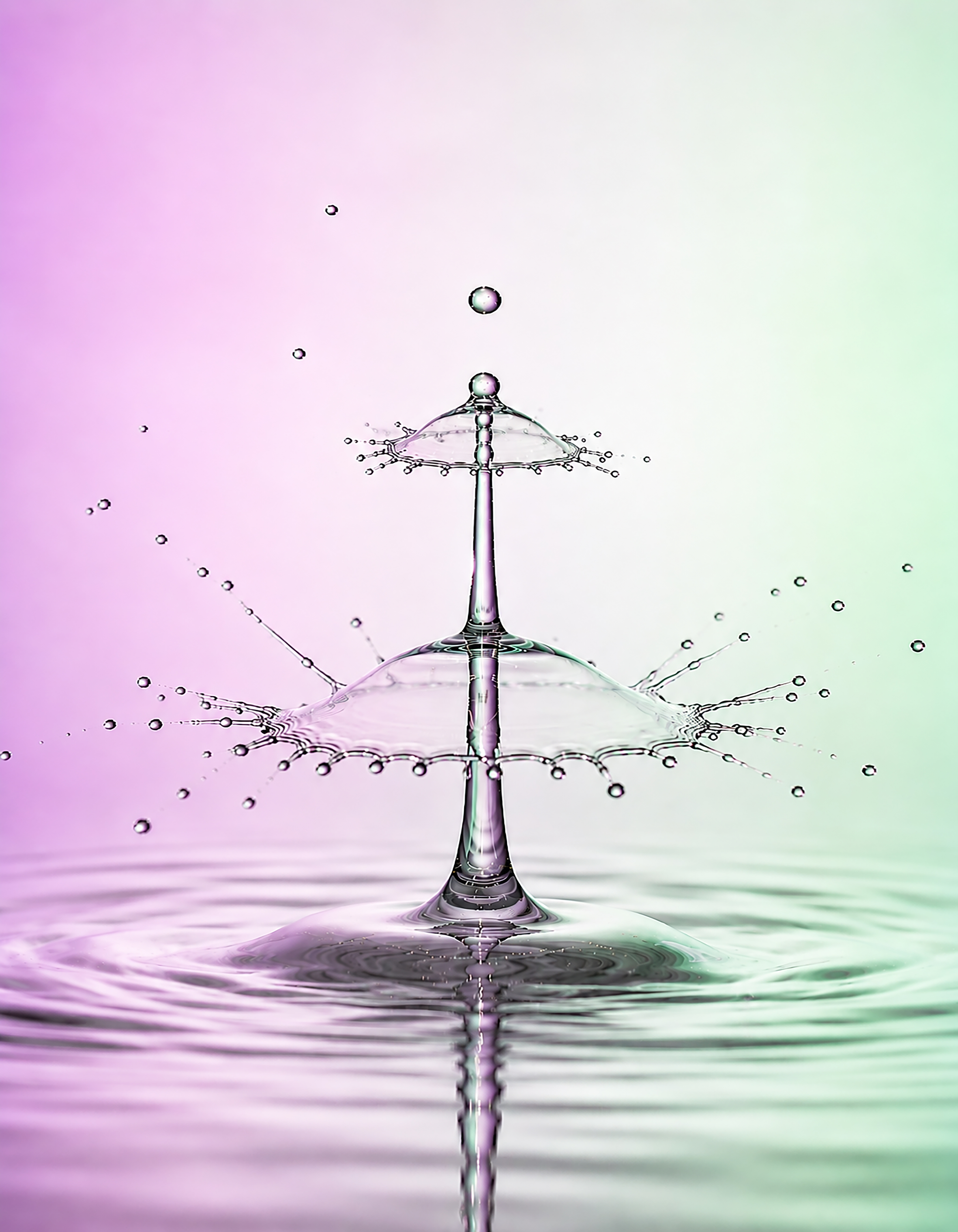 splash