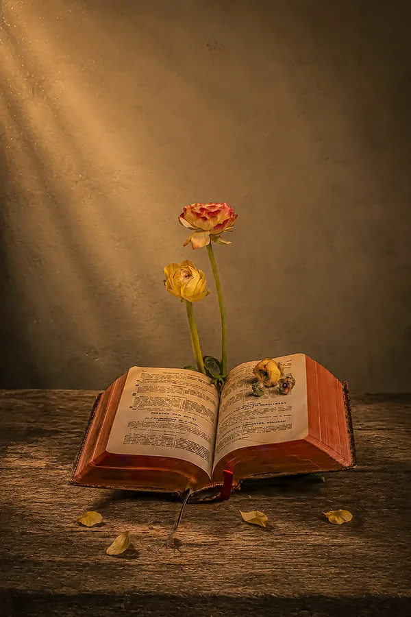 bloemlezing
