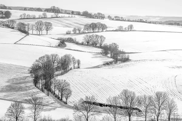 winter in Limburg