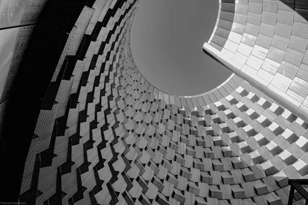 IMG_6274-1-web