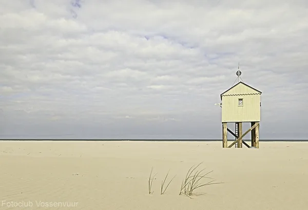 IMG_2303-bewerkt