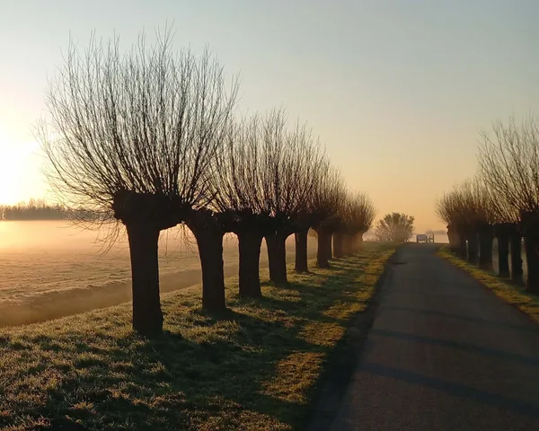 werkgroep natuur en landschap  14 oktober 2026