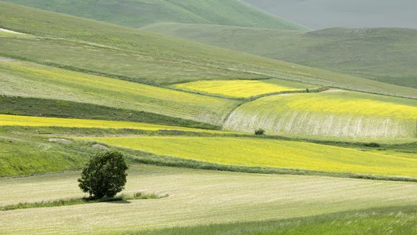 Piano Grande Italië