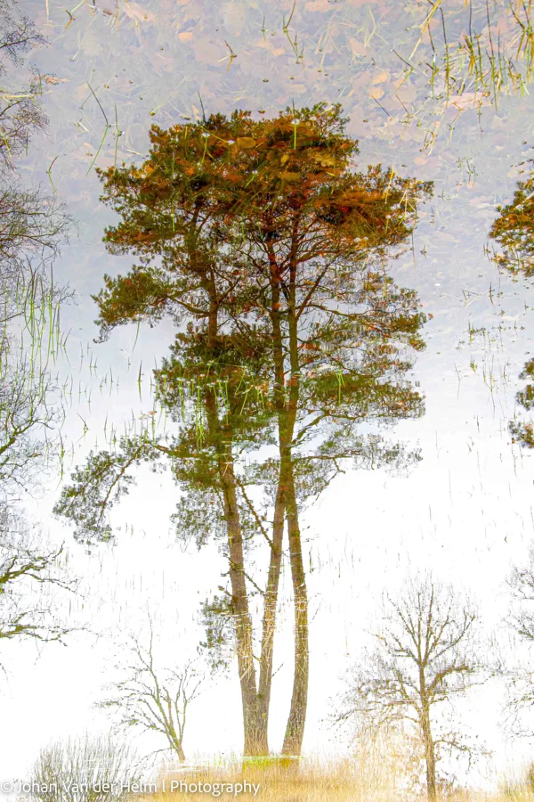 Johan van der Helm l  Photography-1