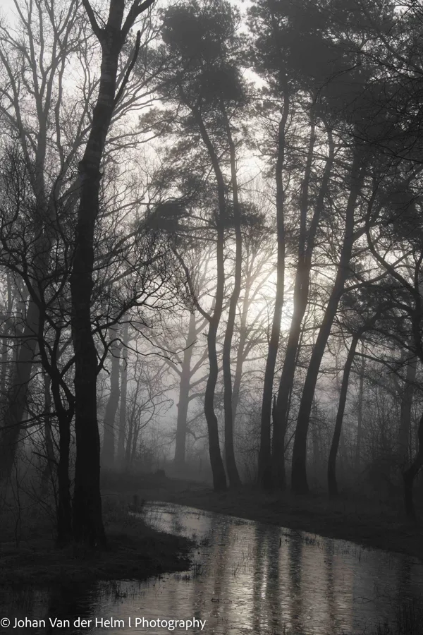 Johan van der Helm l  Photography-3745