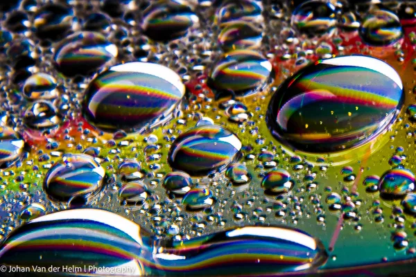 Johan van der Helm l  Photography-4