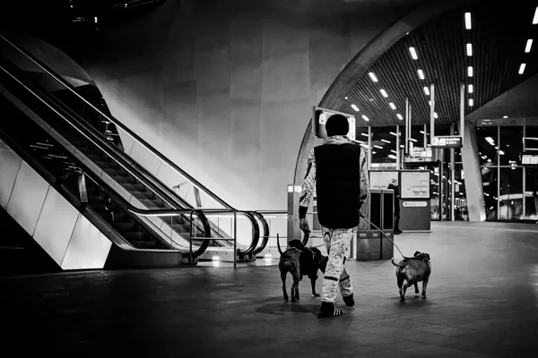 ff honden uitlaten