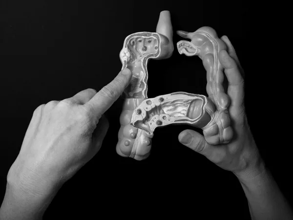 Handen medewerkers Deventer Ziekenhuis