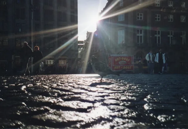 Lomografie serie