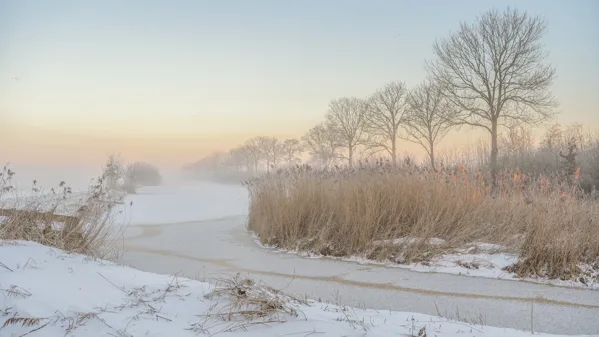 Natuur