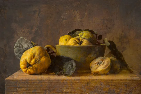 Stilleven