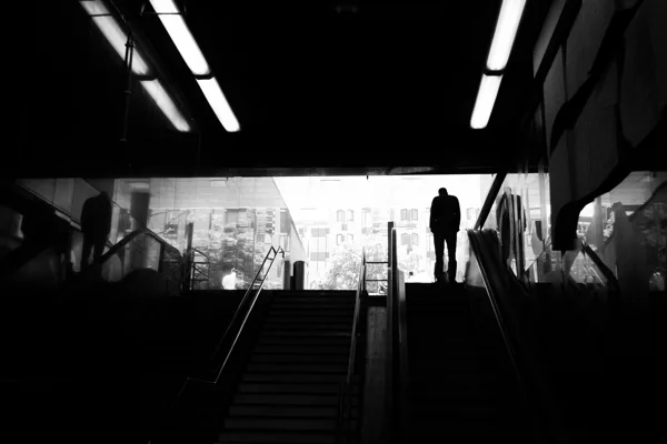 DSC_1962