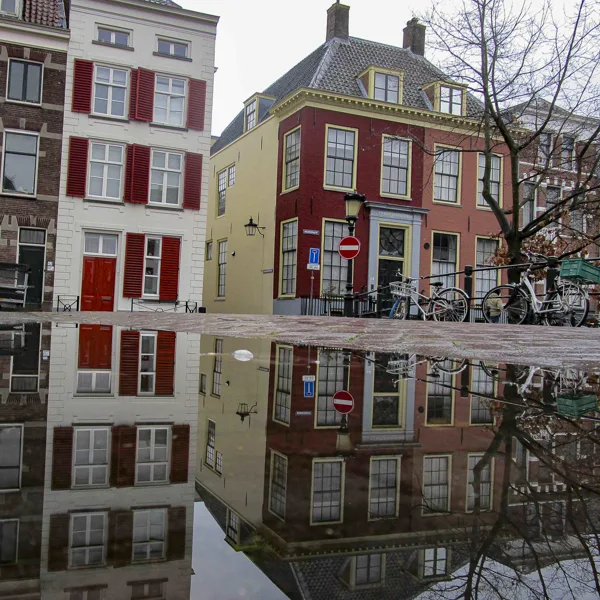 2025-01-25-Reflekties-Regenplassen-Utrecht-0004