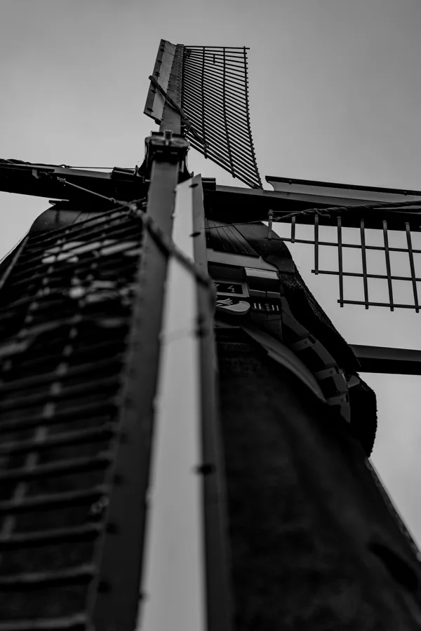 IMG_2631