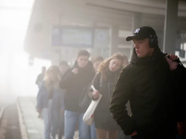 stadver (1)