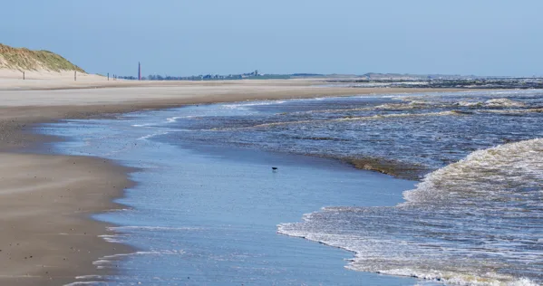 Texel