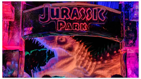 IJsbeelden festival 2026